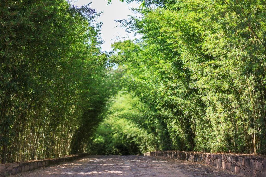 Pousada Bosque Do Lapao Lencois Exterior photo
